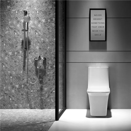 解決衛(wèi)生間的終極難題，箭牌衛(wèi)浴一步搞定